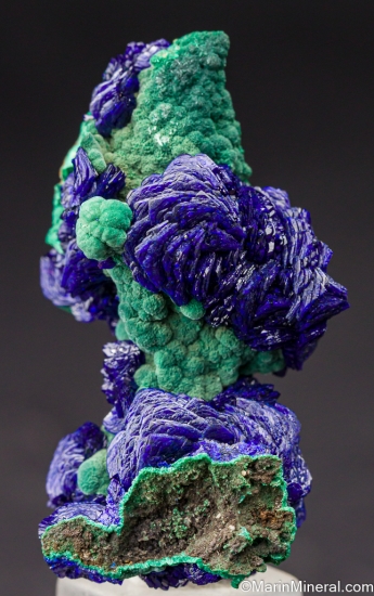 Azurite with Malachite from Ajo, Pima Co., Arizona, USA [db_pics/pics/LL152a.jpg]