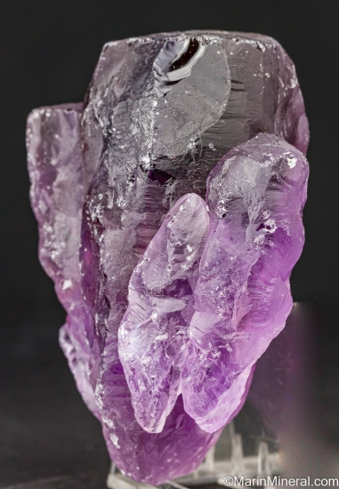 Quartz var. Ametrine from Anahi Mine, La Gaiba Mining District, Santa Cruz, Bolivia [db_pics/pics/LL161b.jpg]