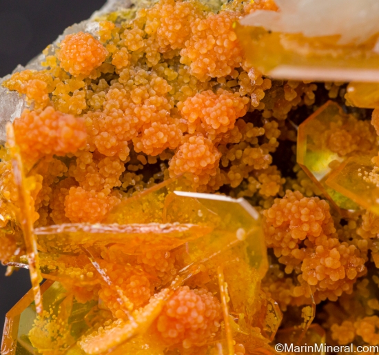 Wulfenite, Mimetite, Barite from San Francisco Mine, Sonora, Mexico [db_pics/pics/LL164j.jpg]