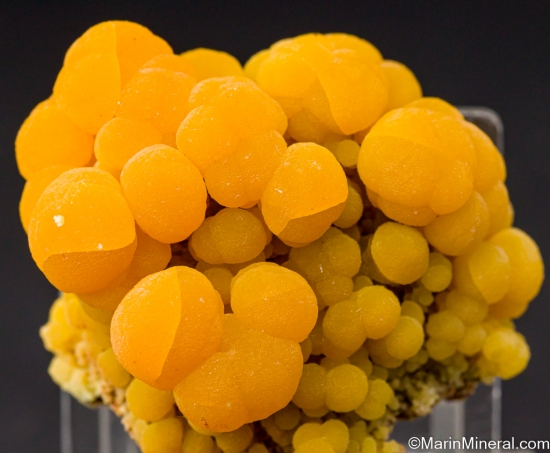 Mimetite from San Pedro Corralitos, Chihuahua, Mexico [db_pics/pics/LL169d.jpg]