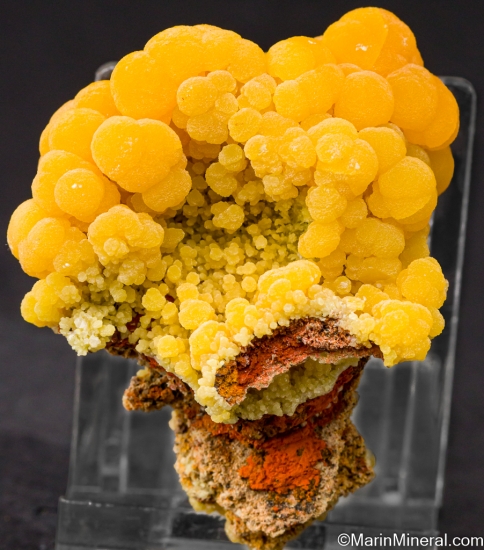 Mimetite from San Pedro Corralitos, Chihuahua, Mexico [db_pics/pics/LL169e.jpg]