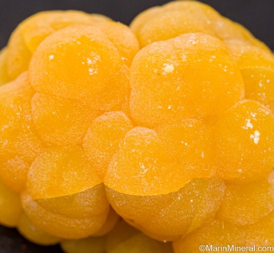 Mimetite from San Pedro Corralitos, Chihuahua, Mexico [db_pics/pics/LL170e.jpg]
