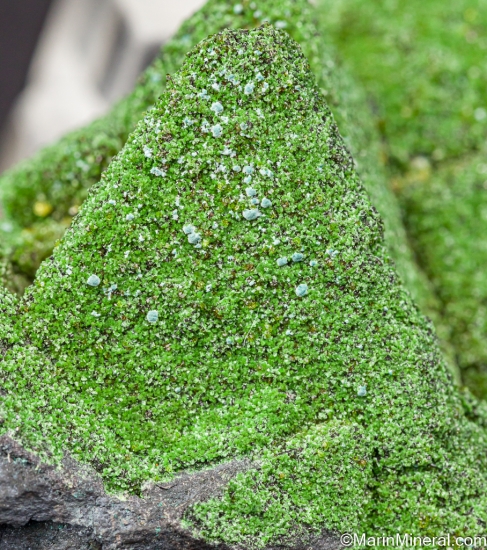 Duftite (?) on Tennantite from Tsumeb, Namibia [db_pics/pics/LL174e.jpg]