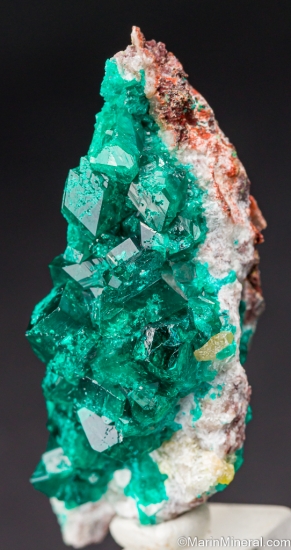 Dioptase from Tsumeb, Namibia [db_pics/pics/LL175b.jpg]
