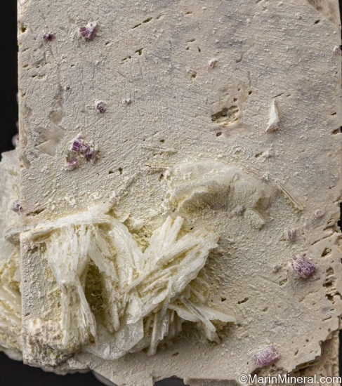 Lepidolite on Microcline from Himalaya Mine, San Diego Co., California, USA [db_pics/pics/LL184c.jpg]