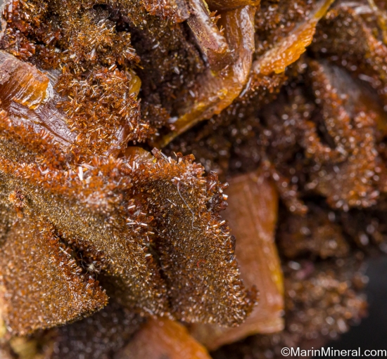 'Endlichite' after Wulfenite from Los Lamentos, Chihuahua, Mexico [db_pics/pics/LL192d.jpg]