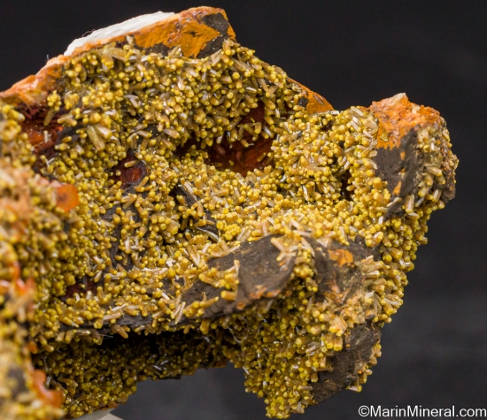 Wulfenite on Vanadinite from Los Lamentos, Chihuahua, Mexico [db_pics/pics/LL199c.jpg]