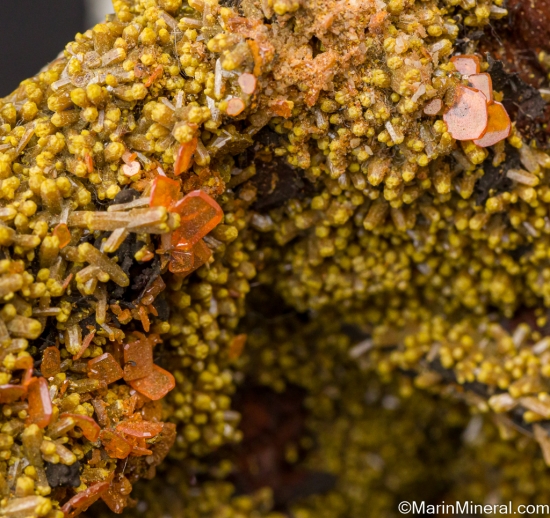 Wulfenite on Vanadinite from Los Lamentos, Chihuahua, Mexico [db_pics/pics/LL199f.jpg]