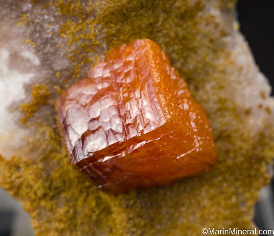 Wulfenite from Los Lamentos, Chihuahua, Mexico [db_pics/pics/LL201d.jpg]