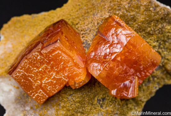 Wulfenite from Los Lamentos, Chihuahua, Mexico [db_pics/pics/LL201e.jpg]