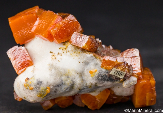 Wulfenite from Los Lamentos, Chihuahua, Mexico [db_pics/pics/LL202a.jpg]