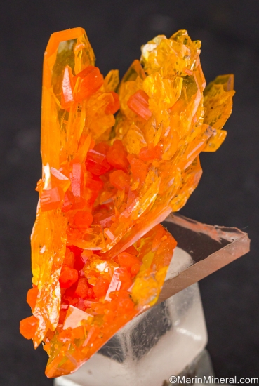 Wulfenite, Mimetite from San Francisco Mine, Sonora, Mexico [db_pics/pics/LL209c.jpg]