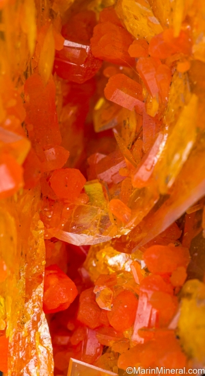 Wulfenite, Mimetite from San Francisco Mine, Sonora, Mexico [db_pics/pics/LL209d.jpg]