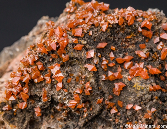 Wulfenite from Melissa Mine, Trigo Mtns., Yuma Co., Arizona, USA [db_pics/pics/LL223c.jpg]