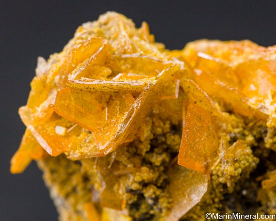 Wulfenite from Mammoth-Saint Anthony Mine, Tiger, Pinal Co., Arizona, USA [db_pics/pics/LL226f.jpg]