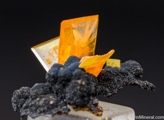 Wulfenite from 79 Mine, Hayden area, Dripping Spring Mountains, Gila Co., Arizona, USA [db_pics/pics/LL239b.jpg]