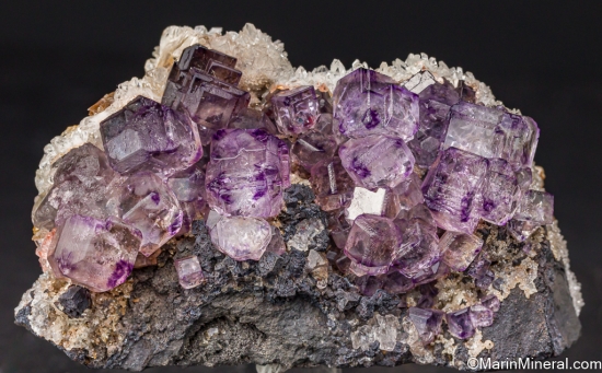 Fluorite with Calcite from Berbes Asturias, Spain [db_pics/pics/LL250a.jpg]
