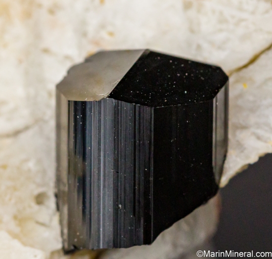 Schorl on Feldspar from Fano Mine, Little Cahuilla Mountain, Riverside Co., California, USA [db_pics/pics/LL253c.jpg]