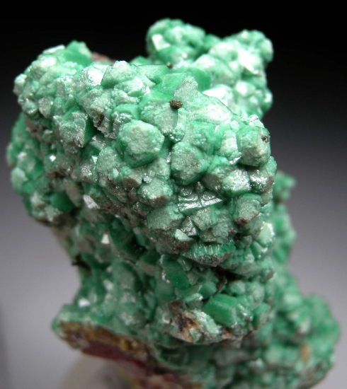 Zincolivenite (Cuprian Adamite) on Quartz from Tsumeb, Namibia [db_pics/pics/LL25d.jpg]