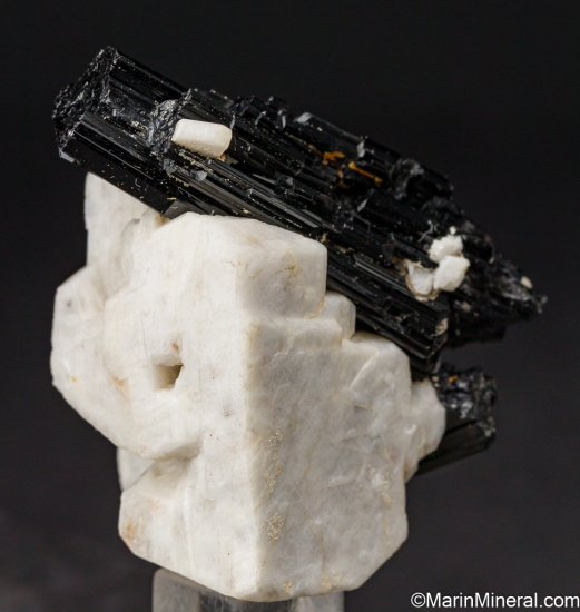 Tourmaline on Feldspar from Indian Hills, Riverside Co., California, USA [db_pics/pics/LL266c.jpg]