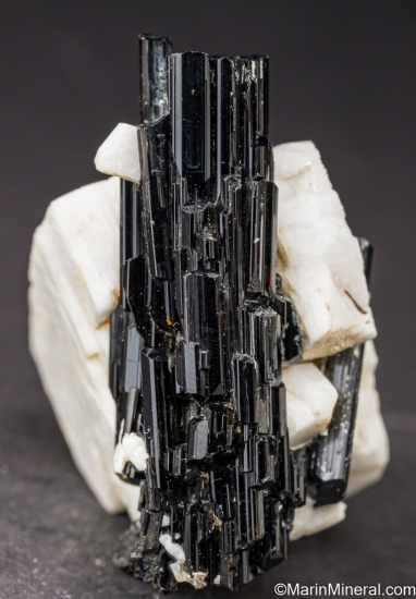 Tourmaline on Feldspar from Indian Hills, Riverside Co., California, USA [db_pics/pics/LL266h.jpg]