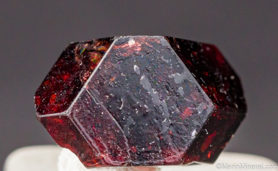 Garnet from unknown [db_pics/pics/LL269c.jpg]