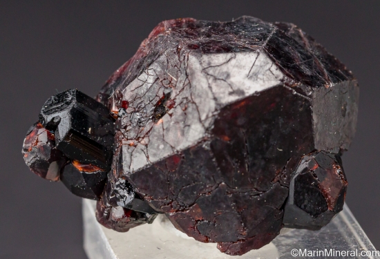 Schorl on Spessartine from Sly Rick prospect (Green Centipede claim), Little Cahuilla Mountain, Riverside Co., California, USA [db_pics/pics/LL306a.jpg]