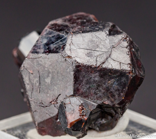 Schorl on Spessartine from Sly Rick prospect (Green Centipede claim), Little Cahuilla Mountain, Riverside Co., California, USA [db_pics/pics/LL306b.jpg]