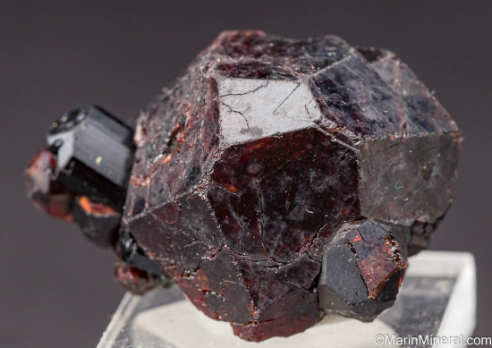 Schorl on Spessartine from Sly Rick prospect (Green Centipede claim), Little Cahuilla Mountain, Riverside Co., California, USA [db_pics/pics/LL306c.jpg]