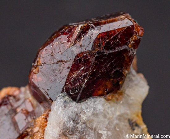 Garnet from Ely, White Pine Co., Nevada, USA [db_pics/pics/LL310d.jpg]