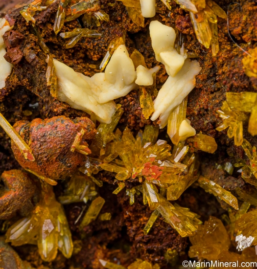 Legrandite from Mina Ojuela, Mapimi, Durango, Mexico [db_pics/pics/LL314d.jpg]