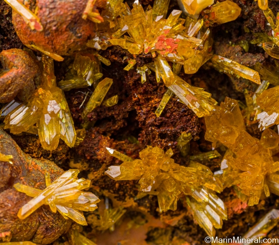 Legrandite from Mina Ojuela, Mapimi, Durango, Mexico [db_pics/pics/LL314e.jpg]