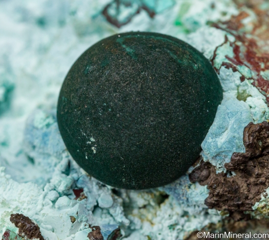 Malachite from Concepcion Del Oro, Zacatecas, Mexico [db_pics/pics/LL316e.jpg]