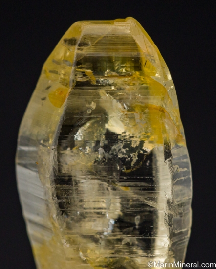 Sapphire from Ratnapura, Sri Lanka [db_pics/pics/LL319f.jpg]