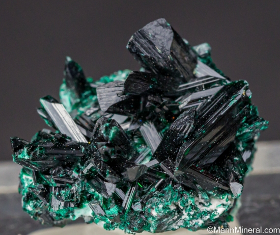 Brochantite from Milpillas Mine, Cuitaca, Sonora, Mexico [db_pics/pics/LL415a.jpg]