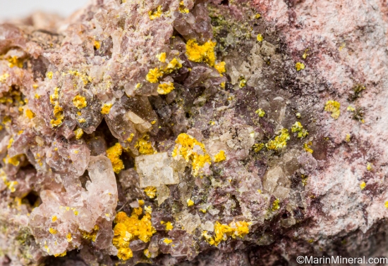 Carnotite from Mashamba West Mine, Katanga, Congo (DRC) [db_pics/pics/LL445b.jpg]