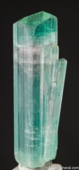 Tourmaline from Dara Pech, Kunar Province, Afghanistan [db_pics/pics/LL450a.jpg]