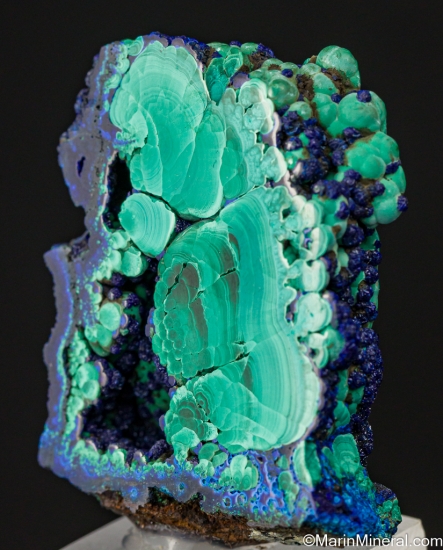 Azurite, Malachite from Bisbee, Cochis Co., Arizona, USA [db_pics/pics/LL463b.jpg]