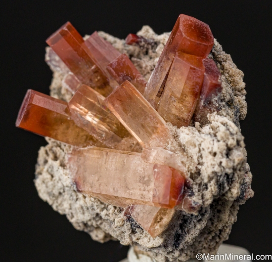 Topaz from Mina Veronica, El Copetillo, Villa GarcÃ­a Municipality, Zacatecas, Mexico [db_pics/pics/LL464b.jpg]