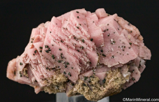 Rhodochrosite from Emma Mine, Butte, Silver Bow Co., Montana, USA [db_pics/pics/LL465a.jpg]
