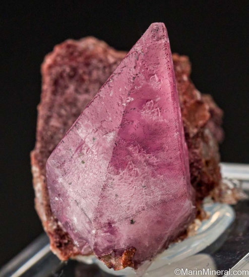 Cobaltian Calcite from Mashamba West Mine, Katanga, Congo (DRC) [db_pics/pics/LL474b.jpg]