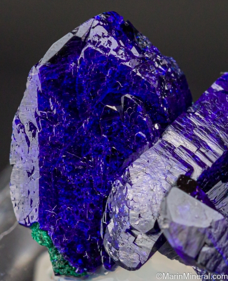 Azurite from Milpillas Mine, Cuitaca, Sonora, Mexico [db_pics/pics/LL476d.jpg]