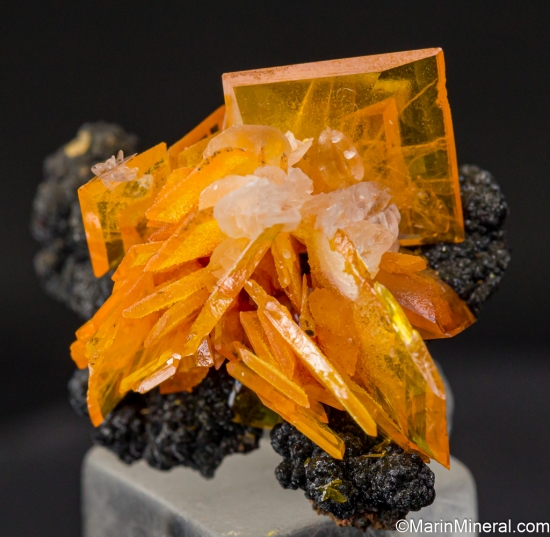 Wulfenite from 79 Mine, Hayden area, Dripping Spring Mountains, Gila Co., Arizona, USA [db_pics/pics/LL480b.jpg]
