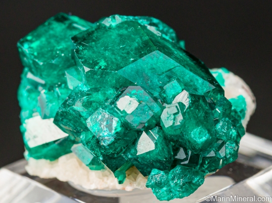 Dioptase from Tsumeb, Namibia [db_pics/pics/LL494b.jpg]