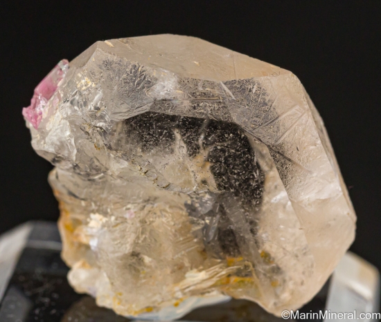Tourmaline on Morganite from Tourmaline Queen Mine, Pala, San Diego Co., California, USA [db_pics/pics/LL498c.jpg]