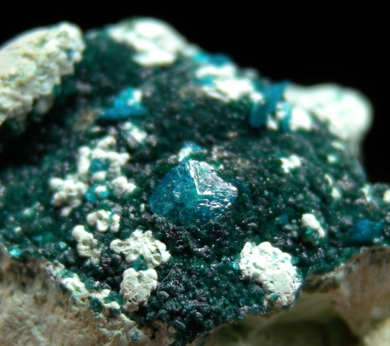 Liroconite from Wheal Gorland, St. Day, Cornwall, England [db_pics/pics/LL504d.jpg]