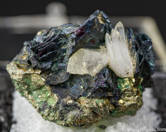 Covellite with Quartz from Butte, Silver Bow Co., Montana, USA [db_pics/pics/LL516a.jpg]