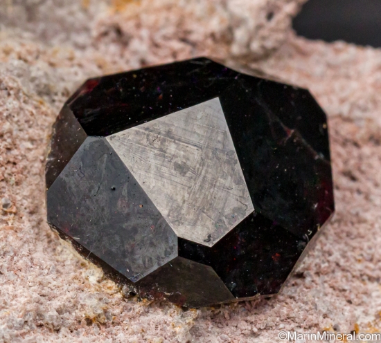Almandine from Garnet Hill, Ely, White Pine Co., Nevada, USA [db_pics/pics/LL541d.jpg]