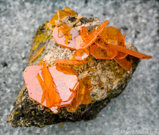 Wulfenite from Harrington-Hickory Mine, Topache Peak, Beaver Co., Utah, USA [db_pics/pics/LL545a.jpg]