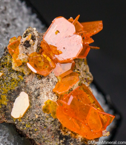 Wulfenite from Harrington-Hickory Mine, Topache Peak, Beaver Co., Utah, USA [db_pics/pics/LL545d.jpg]
